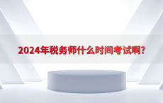 2024年税务师什么时间考试啊?