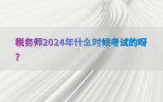 税务师2024年什么时候考试的呀?