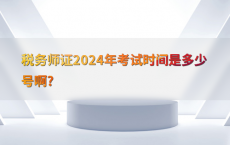 税务师证2024年考试时间是多少号啊?