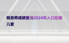 税务师成绩查询2024年入口在哪儿查