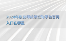 2024年税务师成绩查询平台官网入口在哪里