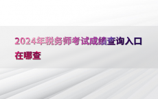 2024年税务师考试成绩查询入口在哪查