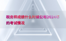 税务师成绩什么时候公布2024年的考试情况