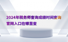 2024年税务师查询成绩时间查询官网入口在哪里查