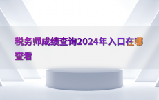 税务师成绩查询2024年入口在哪查看