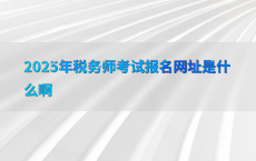 2025年税务师考试报名网址是什么啊